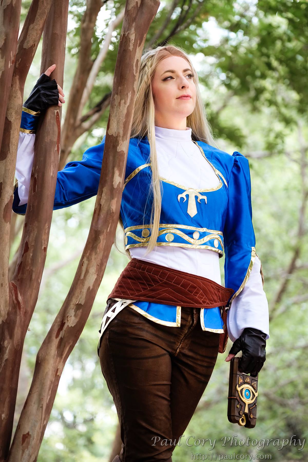 princesszelda